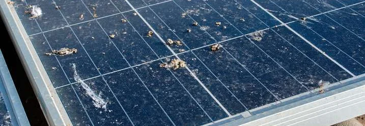 verschmutzte Solarpaneele